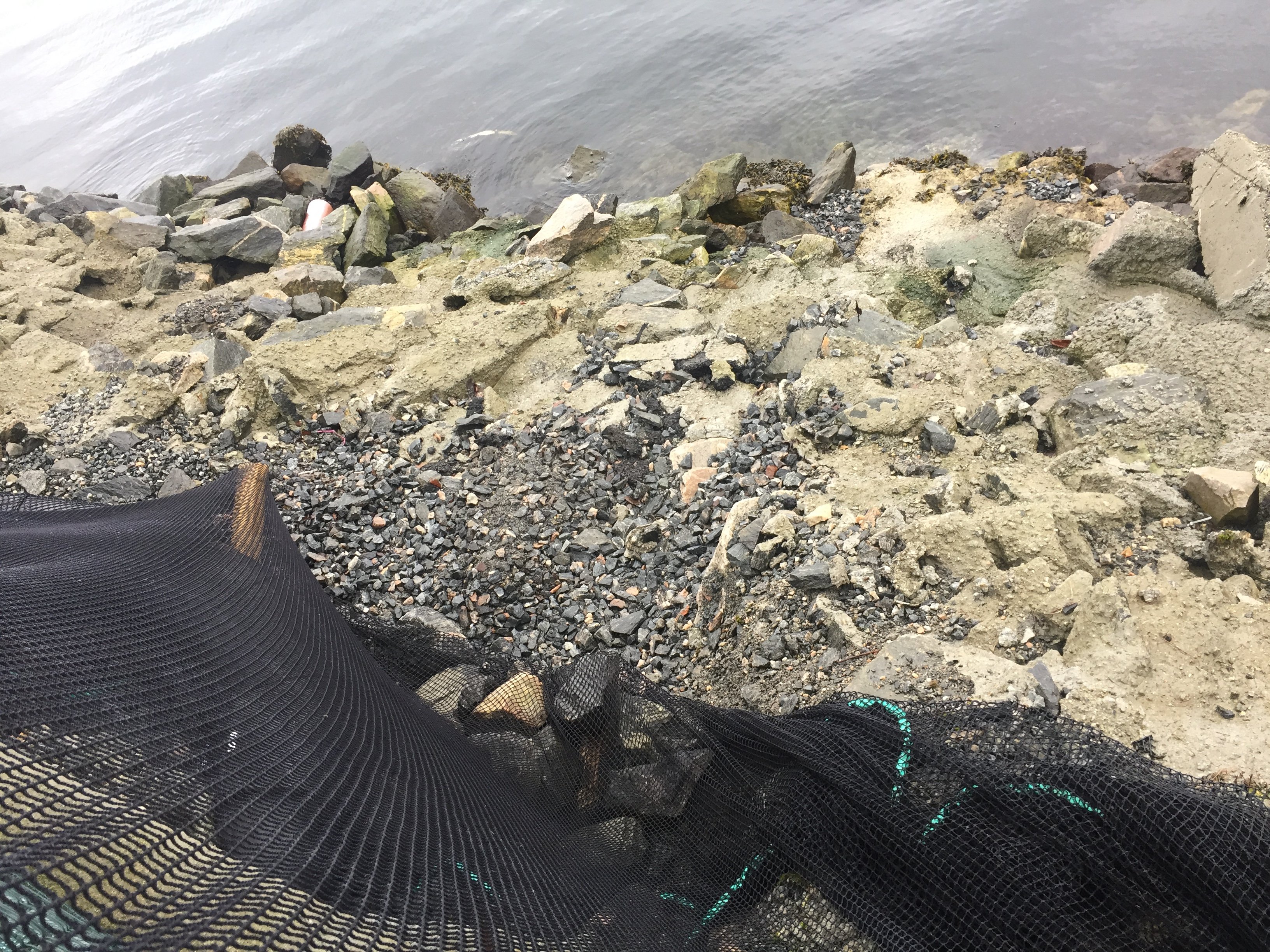 Figur 3: De løse grusmassene fulgte med vann og fisk under områdesikringen og videre ned til sjøkanten. Foto: © Fiskeridirektoratet Figur 3: De løse grusmassene fulgte med vann og fisk under områdesikringen og videre ned til sjøkanten. Foto: © Fiskeridirektoratet