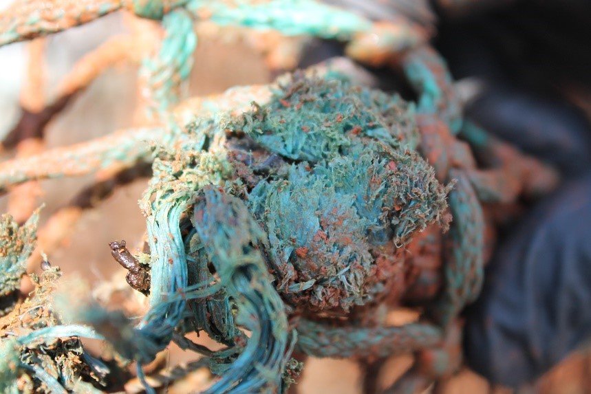 Figur 7: Bruddet på hovedtauet er sentrert og viser tegn til at fibrer er smeltet, noe som indikerer gnag og store krefter. Foto: © Fiskeridirektoratet Figur 7: Bruddet på hovedtauet er sentrert og viser tegn til at fibrer er smeltet, noe som indikerer gnag og store krefter. Foto: © Fiskeridirektoratet