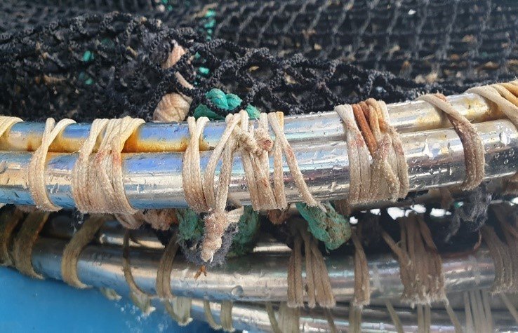 Figur 8: Selskapet hadde kjøpt inn nye dødfiskhåver, og ved nærmere undersøkelse hadde håvene en feilproduksjon i form av knuter på utsiden av stålringen. Foto: © Fiskeridirektoratet Figur 8: Selskapet hadde kjøpt inn nye dødfiskhåver, og ved nærmere undersøkelse hadde håvene en feilproduksjon i form av knuter på utsiden av stålringen. Foto: © Fiskeridirektoratet