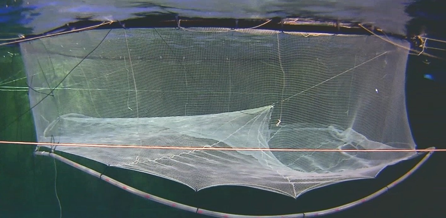 Figur 5: Modelforsøk utført av EgersundNet. Visualisering av operasjon i modelltank : håndtering av dødfiskhåv med gjennomgående håvtau som er for kort. Foto: © EgersundNet Figur 5: Modelforsøk utført av EgersundNet. Visualisering av operasjon i modelltank : håndtering av dødfiskhåv med gjennomgående håvtau som er for kort. Foto: © EgersundNet