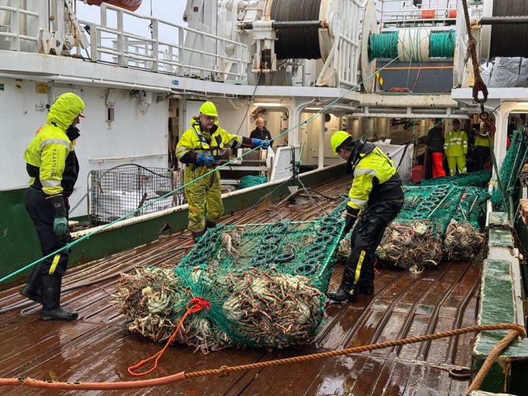 Foto: © Olav Lekve / Fiskeridirektoratet.