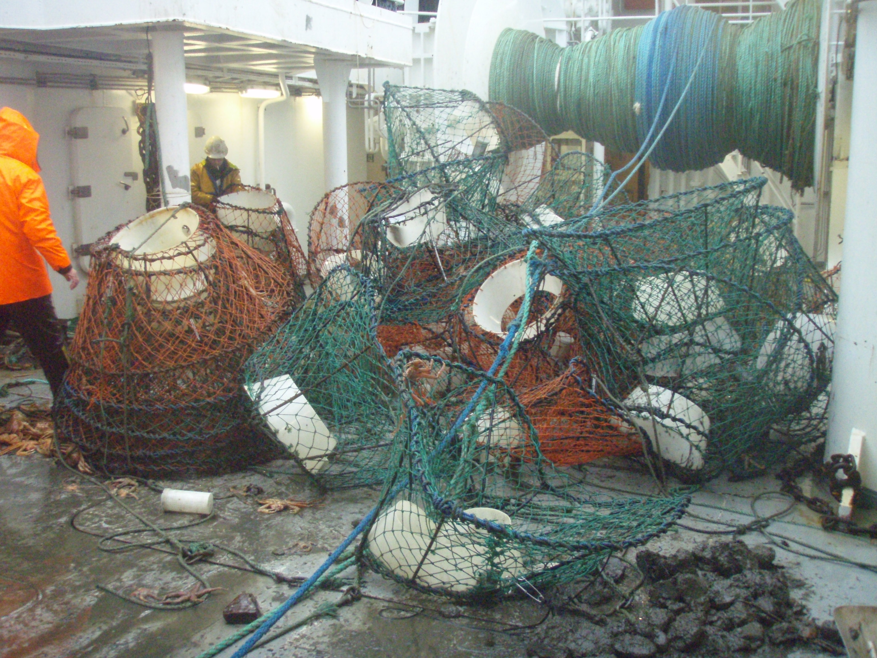 Lost fishery equipment removed from the seabed
