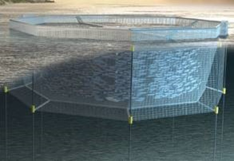 Grieg Seafood Rogaland.jpg